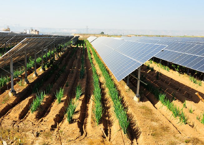 anfaenge-agro-photovoltaik.png