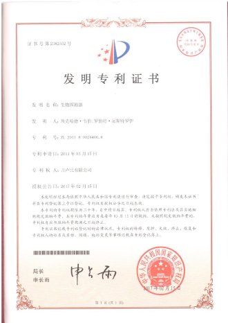 Chinese Patent.jpg