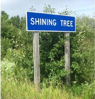PTX - Shining Tree.jpg