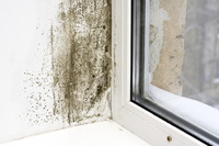 In Deutschland gibt es in jeder zehnten Wohnung Bauschäden durch Schimmelpilzbefall, (Foto: iStockphoto.com/Timur Arbaev)