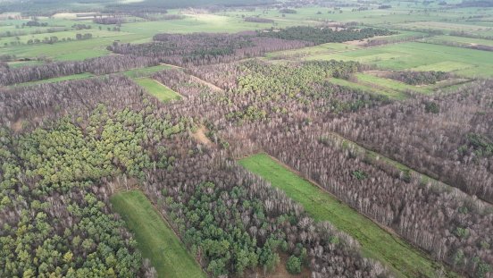 Rehburger Moor_1_Foto Marcel Hollenbach.JPG