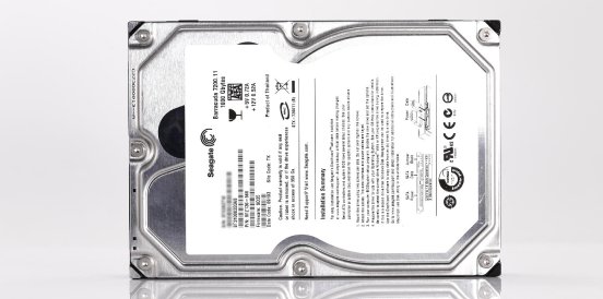 Datenrettung-Seagate-HDD-ST31000333AS-RecoveryLab.jpg