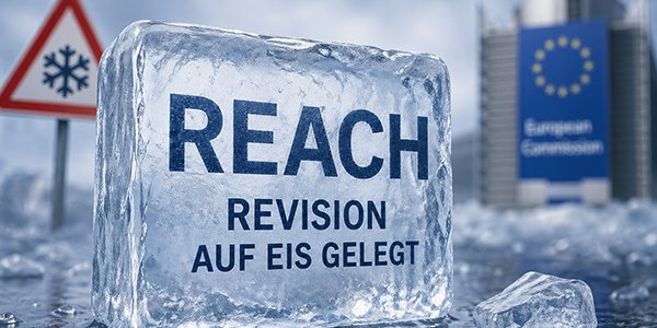 2026-04-29-REACHRevision.png