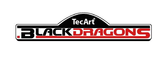 Namenssponsor-Logo TecArt Black Dragons