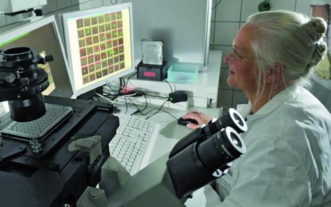 Dr. med. Katharina Pachmann bei Forschungsarbeiten