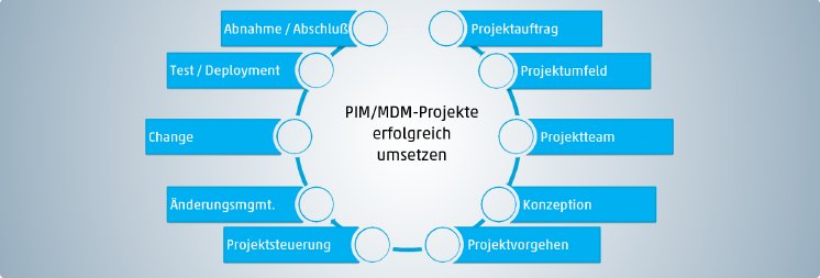 PIM-MDM-Projekte erfolgreich umsetzen.png