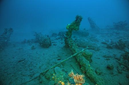 3D-Technologie von Dassault Systèmes revolutioniert Unterwasserarchäologie
