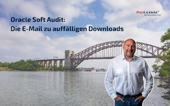 PM_18_17.08._Oracle_Soft_Audit.jpg