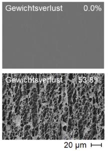 Einsatz von Polyester-Hydrolasen aus Thermobifida fusca (TfCut2) als Biokataly-satoren zum Abbau von PET