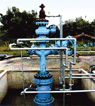 2002-101111-wellhead.jpg