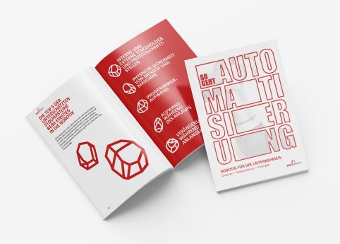 Bild 1_Robotik-Whitepaper fünf Stolpersteine.jpg