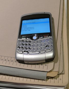 blackberry2.jpg