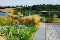 Erstaunlich: so manches, was wie ein  Garten aussieht, ist in Wirklichkeit ein Dach...