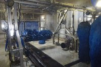 Waschanlagenkonstruktion der MTE GmbH: Den Antrieb für den Schwenkarm mit Bürstenrolle übernimmt ein Pneumatikzylinder, die Industriestoßdämpfer werden jeweils unten angefahren