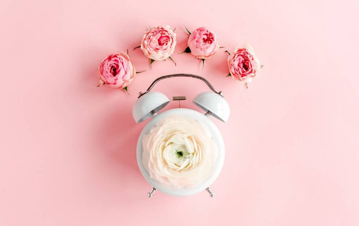 2026-02-shutterstock_1327632950_bildnachweis_k-decor.jpg