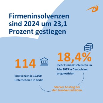 Firmeninsolvenzen CRIF 2024 Info.png