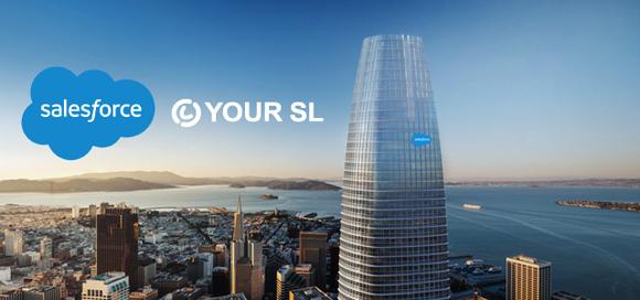 sfdc_small1.png
