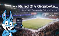 Fußball-EM 2024 am Handy sehen: So viele mobile Daten sollten Fans einplanen