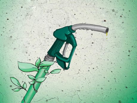 biokraftstoff.jpg
