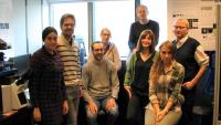 Die AFM-Super-Resolution-Gruppe unter der Leitung von Dr. Frank Lafont (rechts)