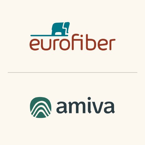 Partner_EFN_Amiva.png