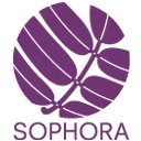sophora.jpg