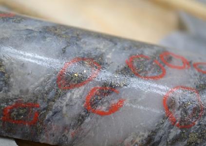 Bohrkern mit sichtbarem Gold; Foto: Bonterra Resources
