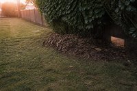 Gemähter Rasen am Abend mit Laubhaufen unter einer Hecke - Ein kurz gemähter Rasen in der Dämmerung, am Rand liegt ein Haufen aus Laub und Zweigen unter einer dichten Hecke, im Gras ein schmaler Durchgang zum Nachbargrundstück. Symbolbild zum Schutz nachtaktiver Kleintiere im Hausgarten. Bild KI-generiert
