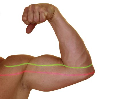 Jetzt alle Lasermodule mit 19 mm Durchmesser.jpg