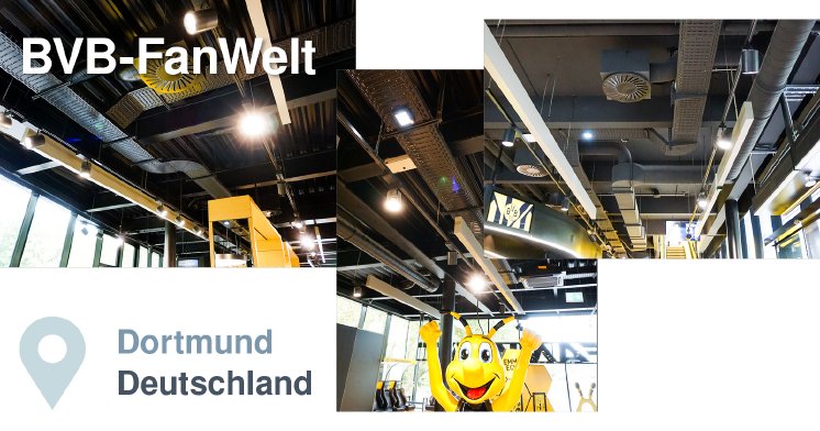 BVB_Fanwelt_Blackline5.jpg
