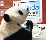 Panda_vor_PC.jpg