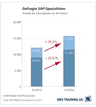 WBS-Grafik-SAP-gesucht.jpg