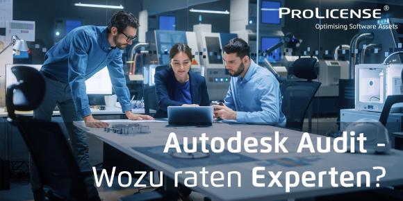 Autodesk Audit - Wozu raten Experten - ProLicense - Autodesk Lizenzaudit