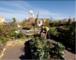 Urban rooftop farming