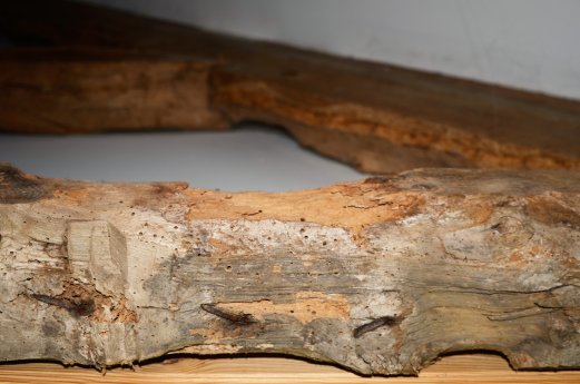 9-Gästehaus_Spuren_des_Wurmbefalls_im_Eichenholz_DSC_8546_az.JPG