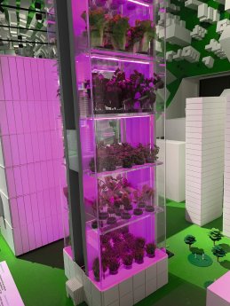 SSI_Expo 2020 Dubai_IMG_0776[3].jpg