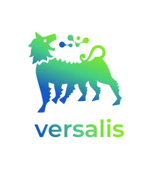 Versalis Logo.jpg