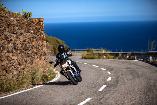 Wunderlich_G310R_06.jpg