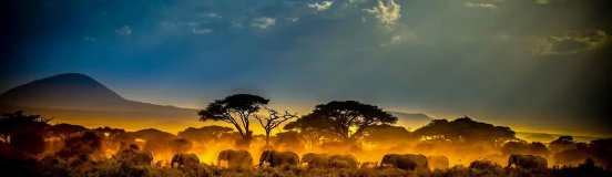 Lake-Victoria-Gold-Goldinvest-5.jpg