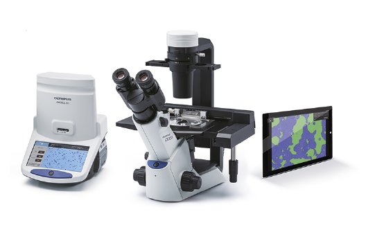 Olympus cell culture solutions.jpg