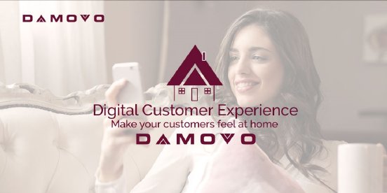 Damovo_Make_your_customer_feel_at_home.jpg