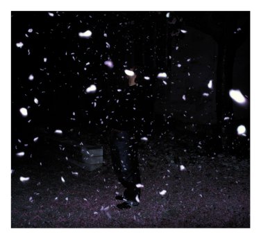 Weidner_Sascha_HANAMI_GONE_II.jpg