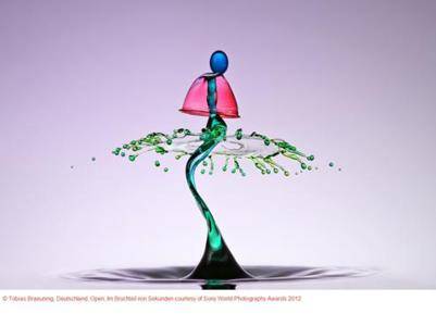 Copyright Tobias Braeuning, Deutschland, Im Bruchteil von Sekunden, courtesy of SWPA 2012