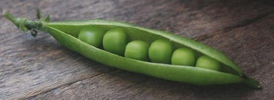 peas-7658492_1280-588x215.jpg