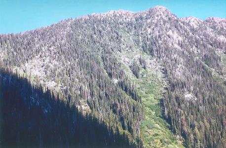 Photo of mountain where helicopter-supported drilling is about to start at Wild Horse property