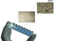 Experiment der TU Ilmenau zur Kultivierung von Mikroorganismen in wenige Nanoliter kleinen Tropfen © TU Ilmenau