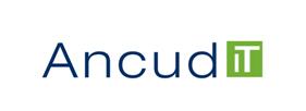 Ancud IT-Beratung Nürnberg