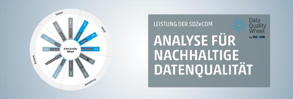 Analyse für nachhaltige Datenqualität