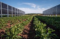 HeideSolar Agri Photovoltaik
