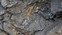 Mineralisierung vom Epanko-Projekt